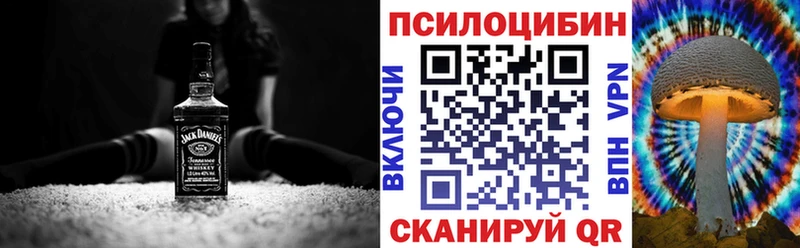 цены   Невьянск  Псилоцибиновые грибы мицелий 